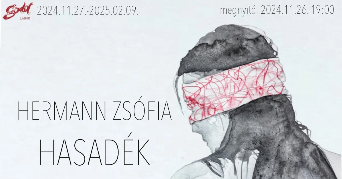 Hermann Zsófia: Hasadék