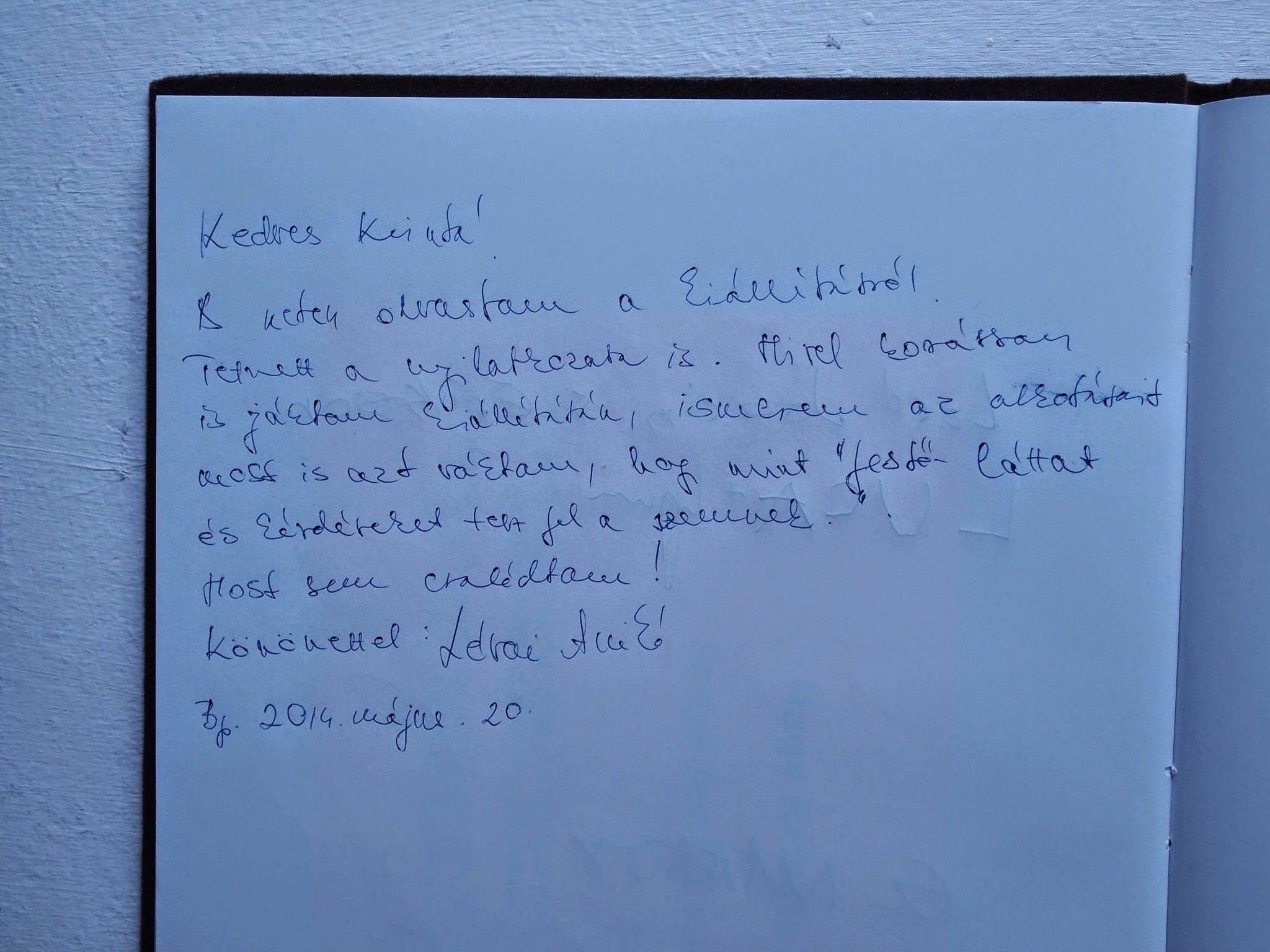 Nagy Kriszta x-T: Portréfestést vállalok 2014-05-14 — 2014-06-17 - Godot Galéria – 14. forráskép